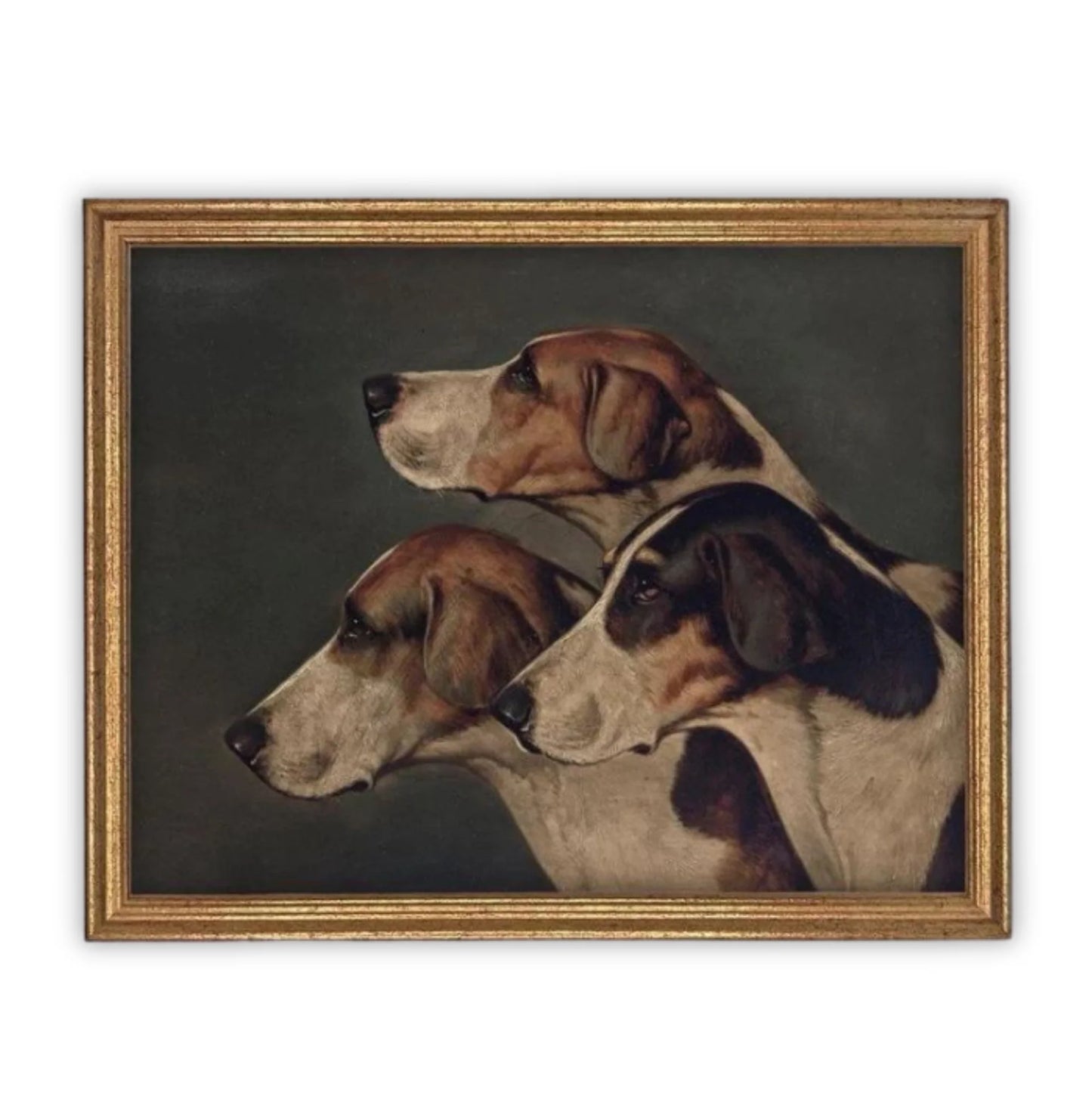 Hounds
