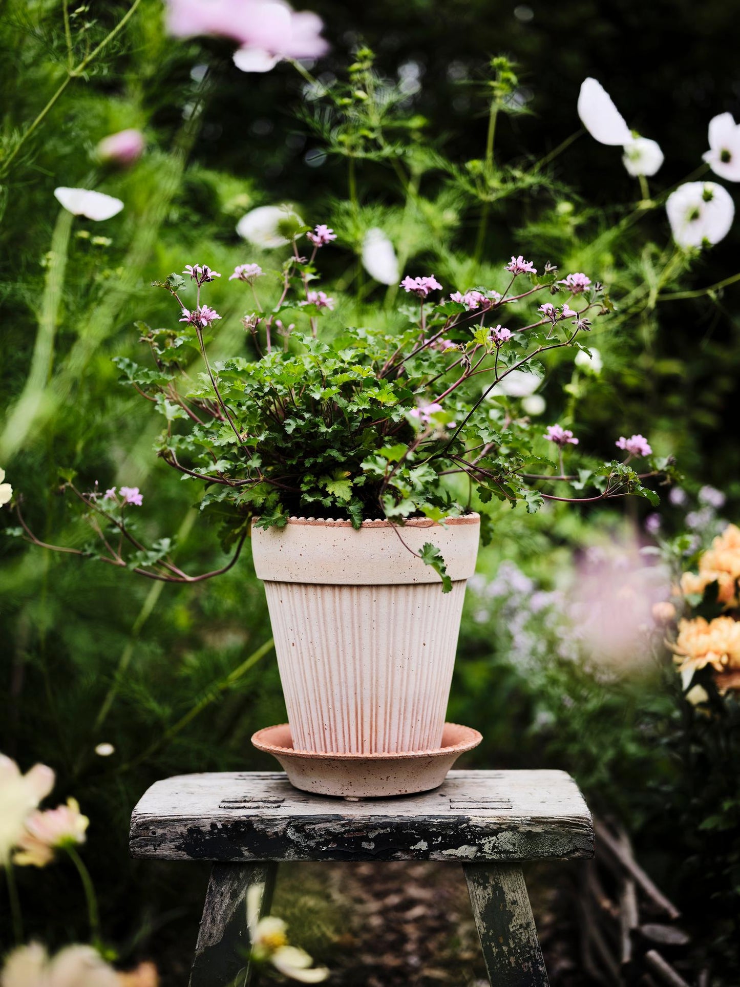 SIMONA POT Bergs Potter
