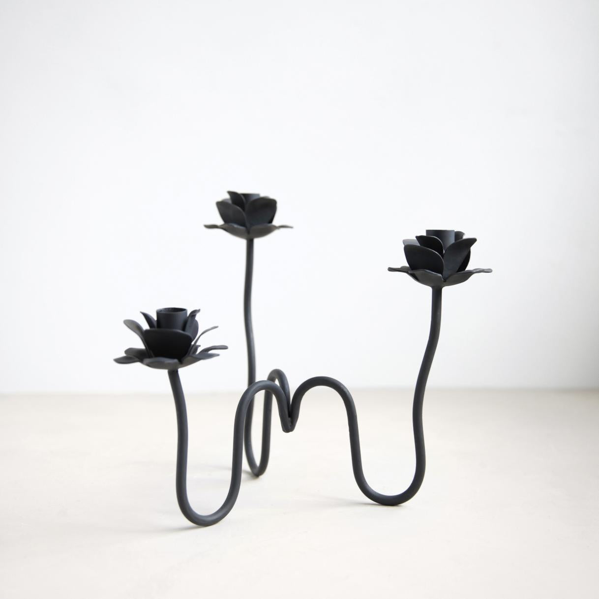 RANA CANDELABRA