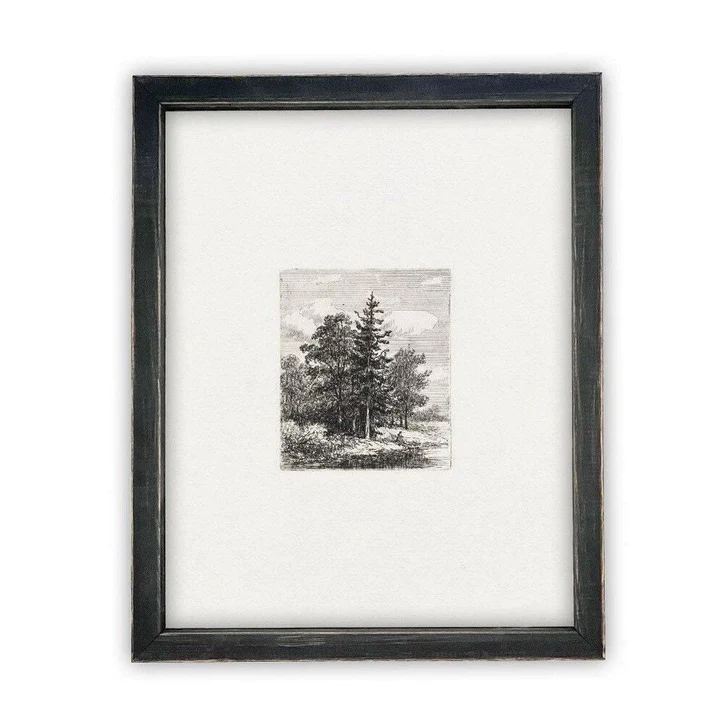 Forest's Edge