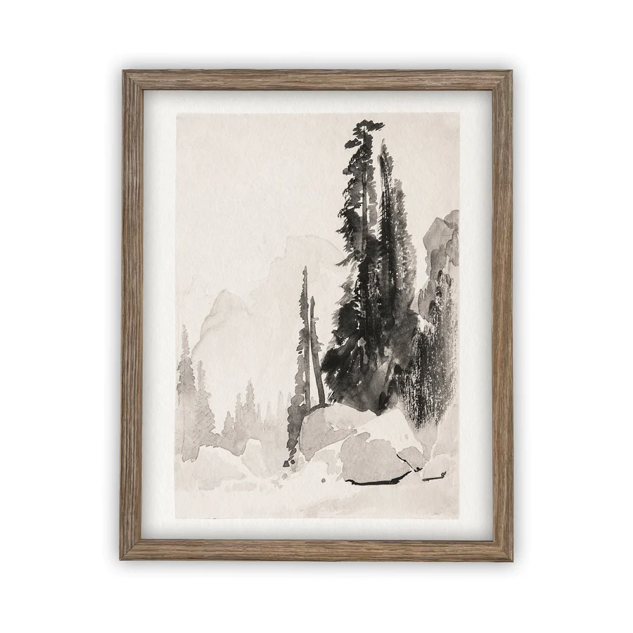 Pine Forest Sketch