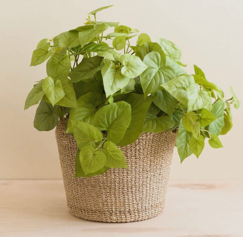 HANDWOVEN SCALLOPED BASKET