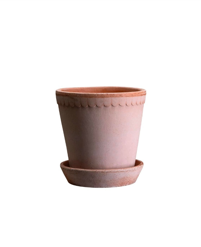Helena Terracotta Pot - Bergs Potter