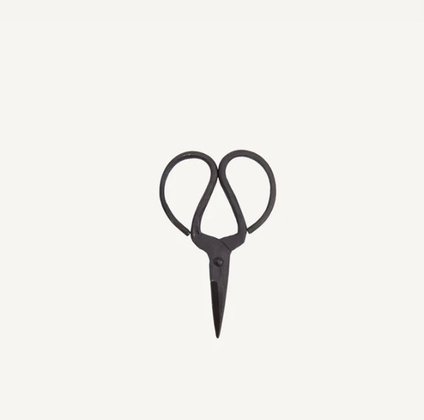 CAST IRON SCISSORS