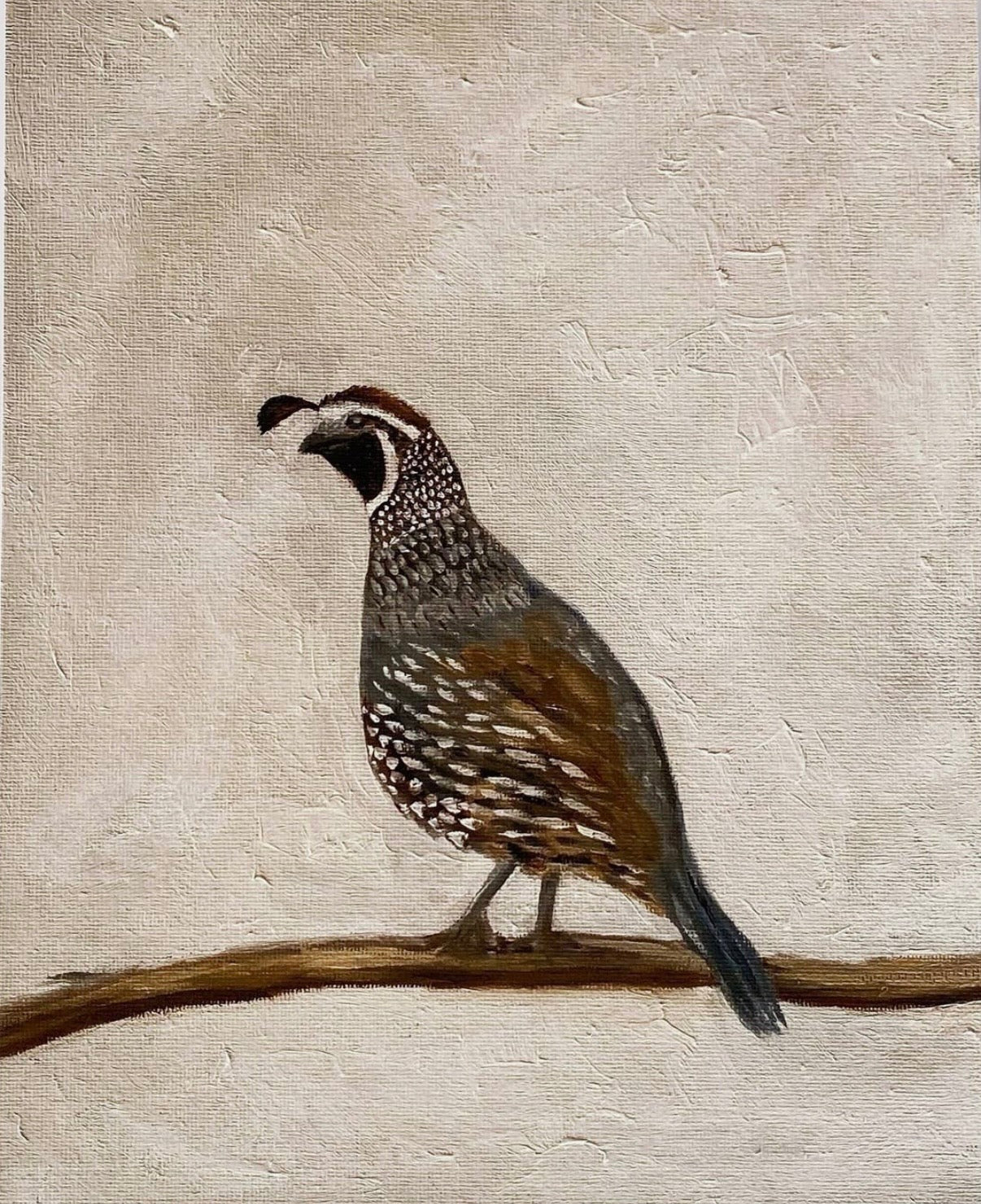 Quail