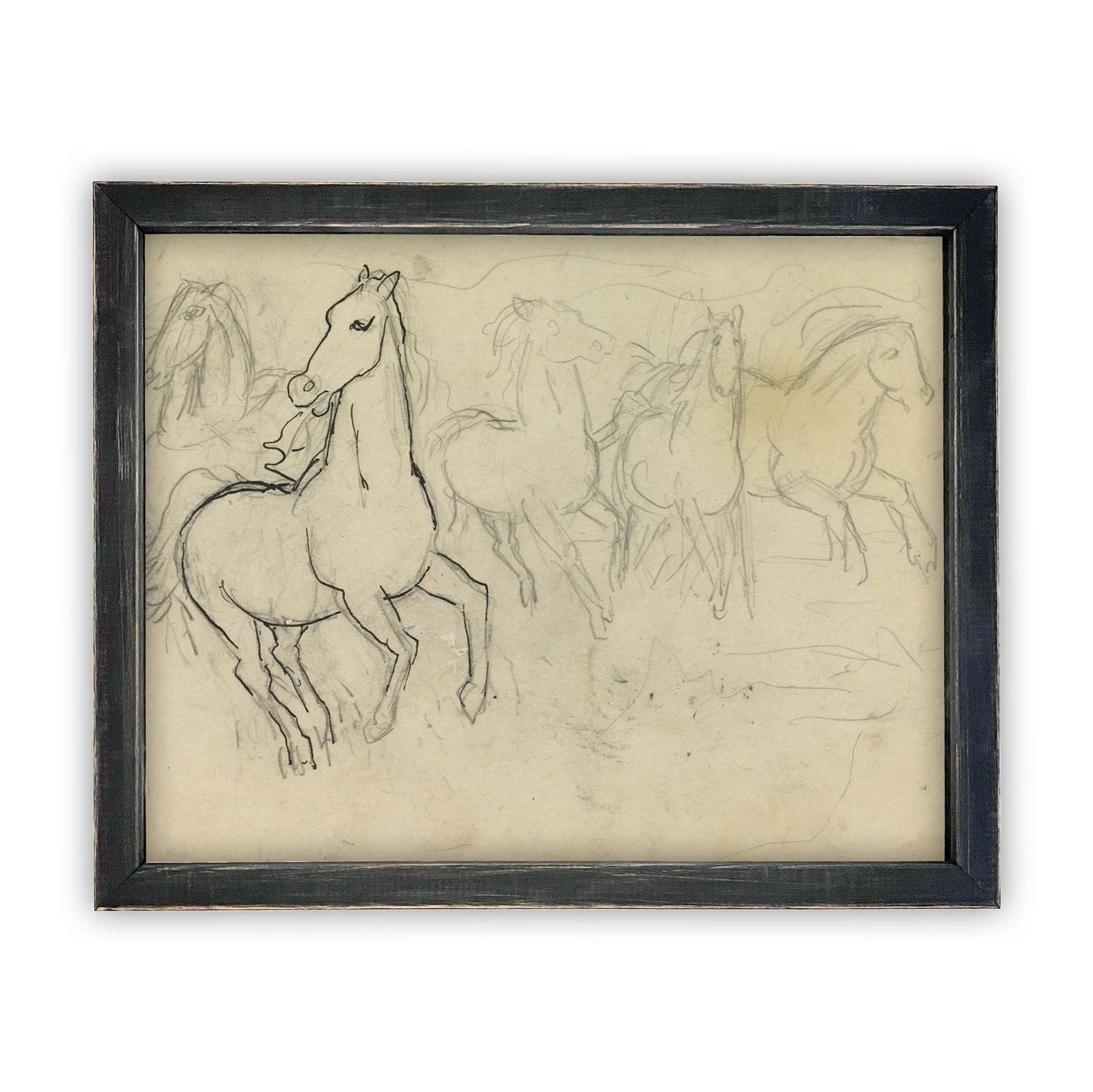 Horse Sketch