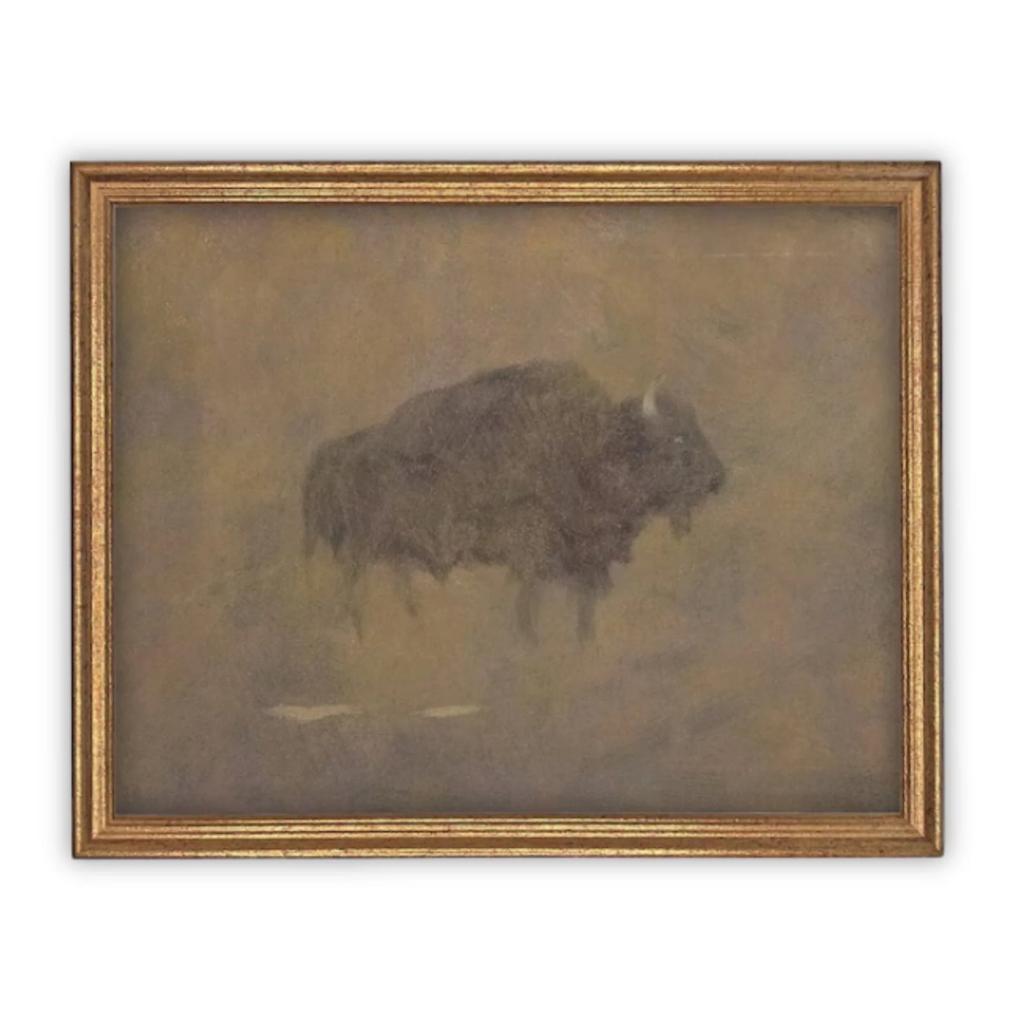 Buffalo Study