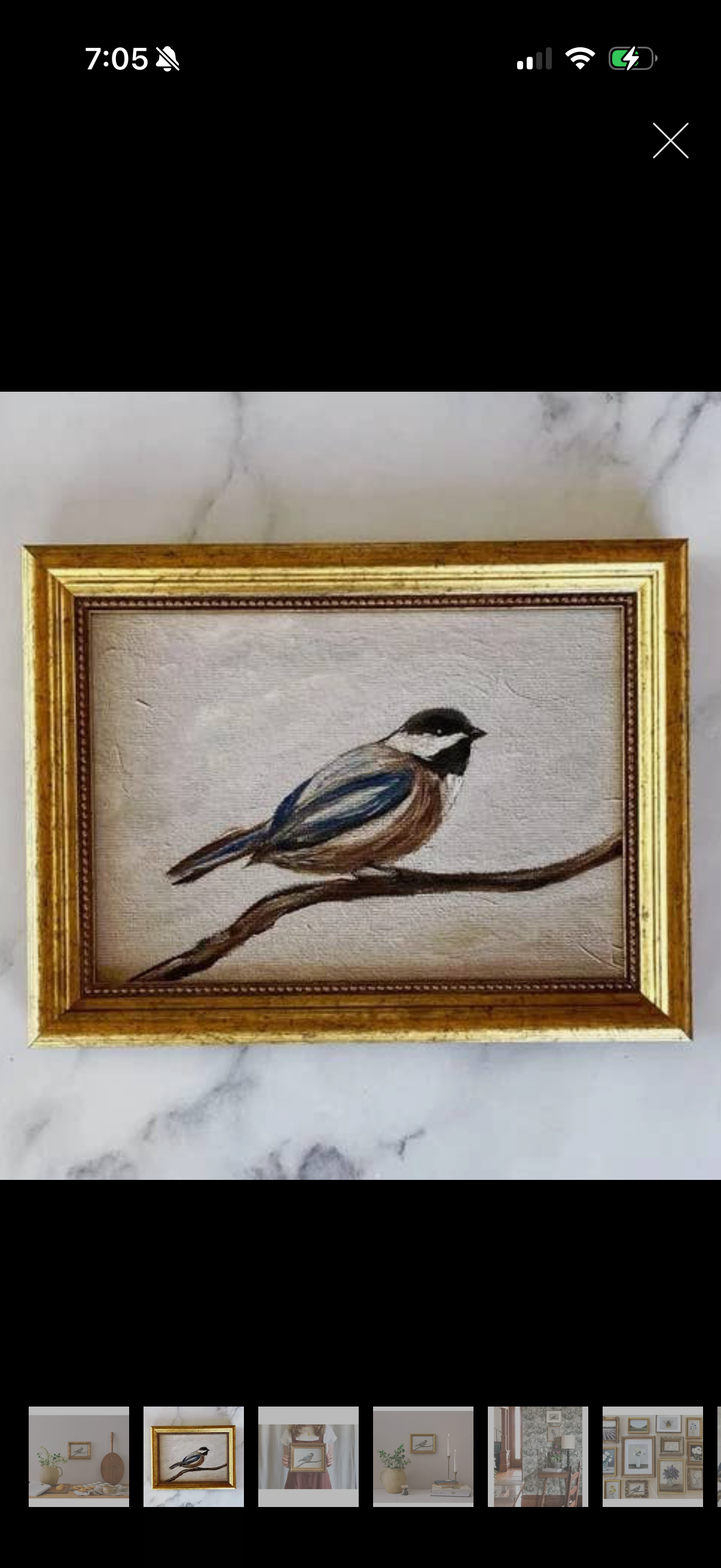 Chickadee