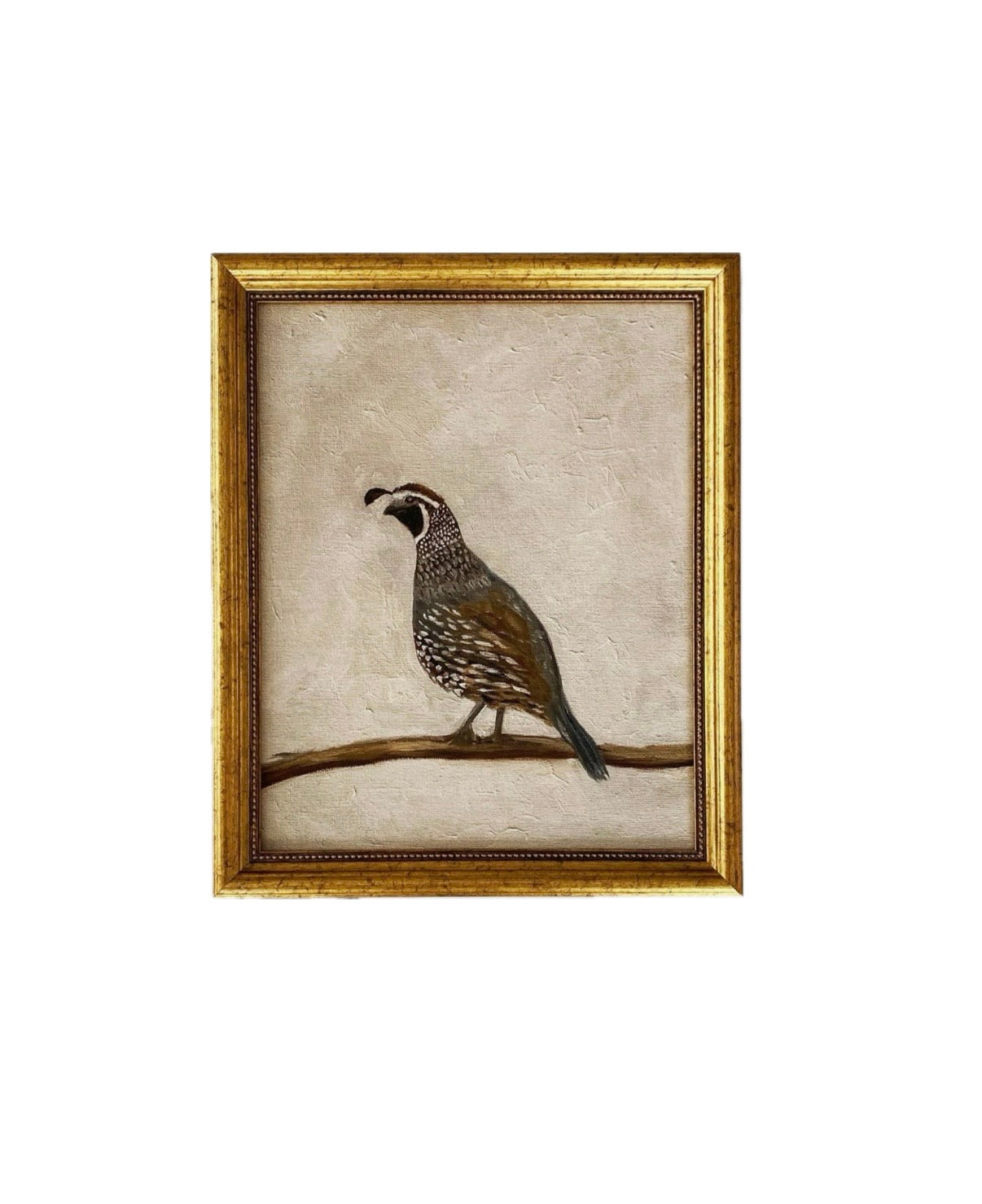 Quail