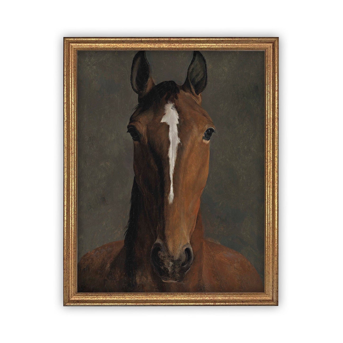 Thoroughbred