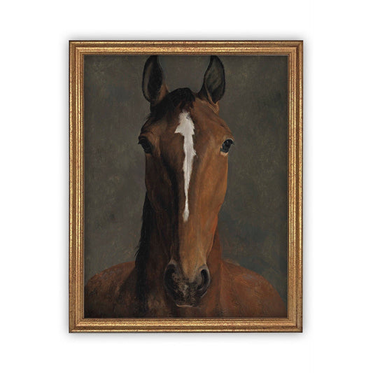 Thoroughbred