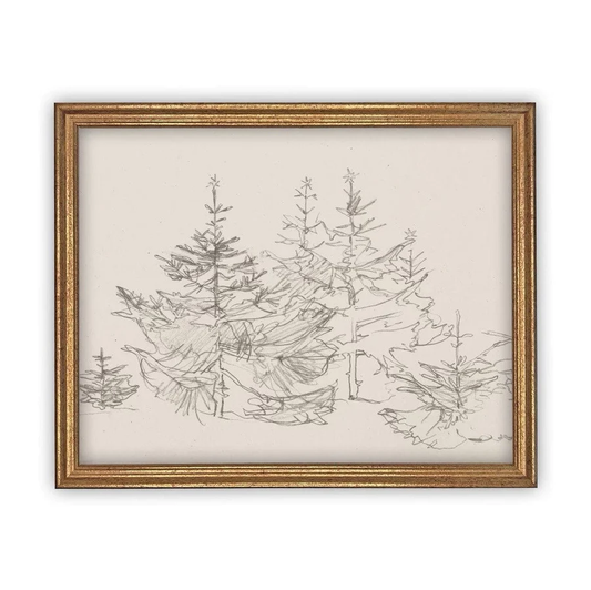 Pine Forest Sketch