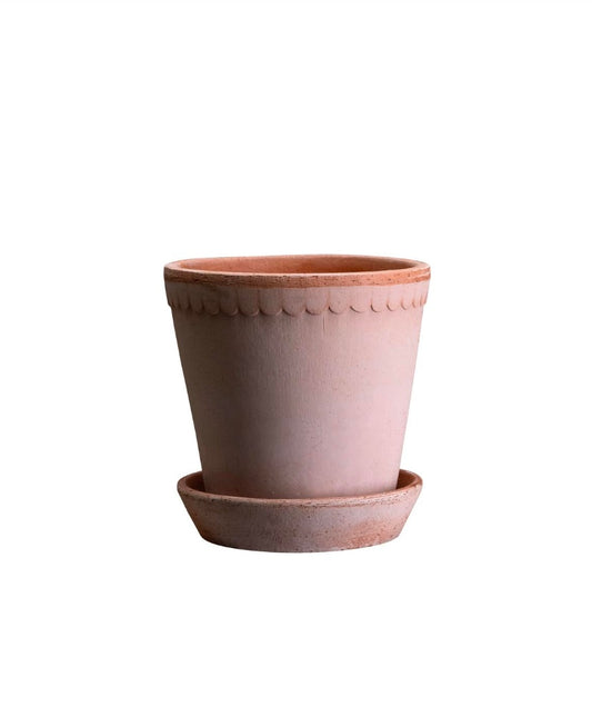 Helena Terracotta Pot - Bergs Potter