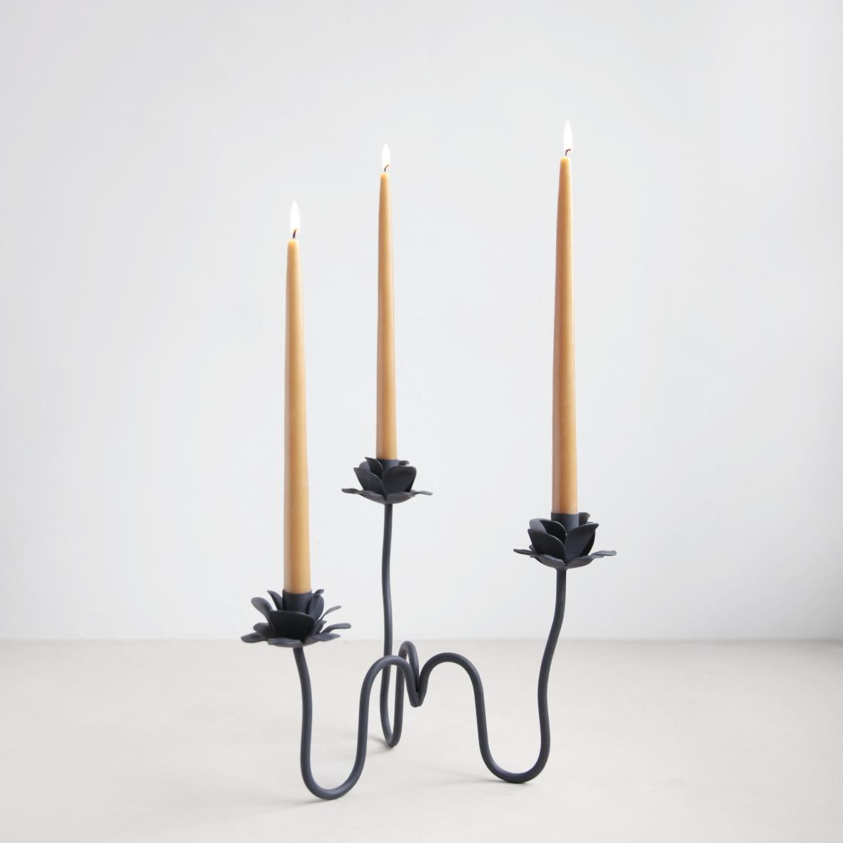 RANA CANDELABRA