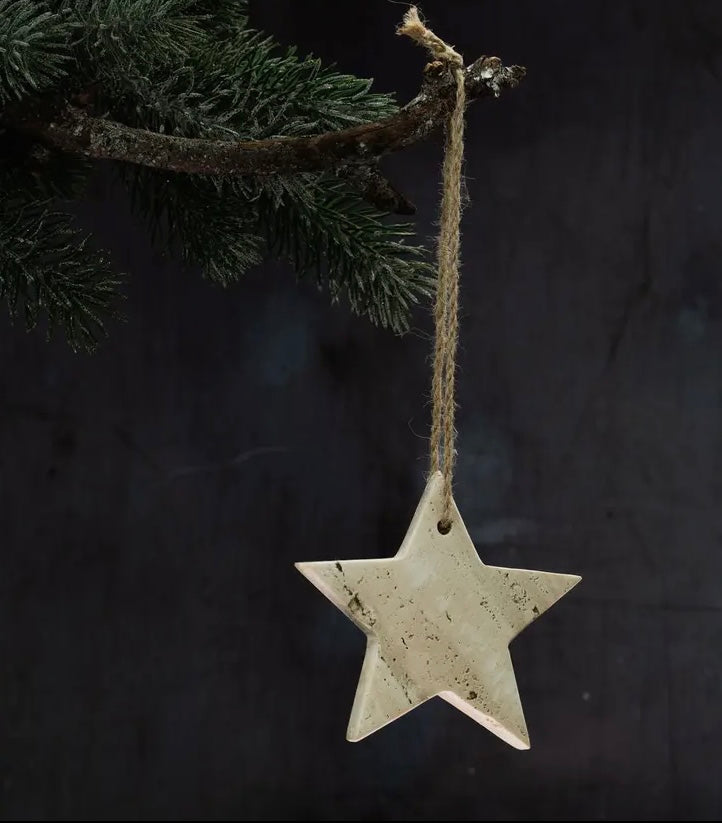 Star-shaped stone ornament hanging from a tree branch against a dark background